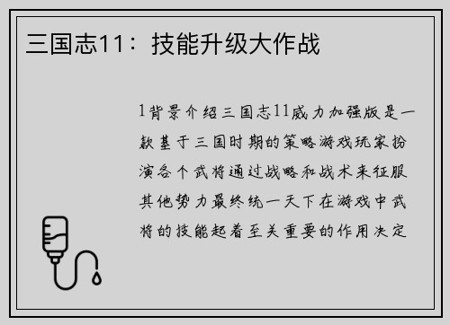 三国志11：技能升级大作战