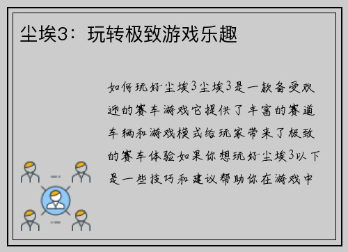 尘埃3：玩转极致游戏乐趣